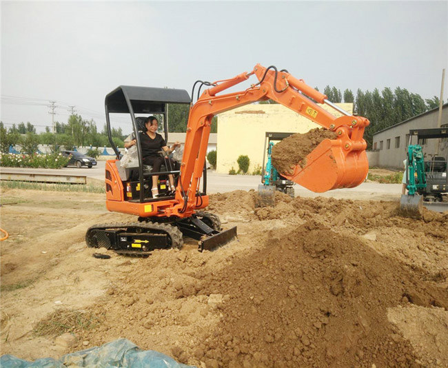 小挖機(jī)大保養(yǎng) 小挖機(jī)大保養(yǎng)